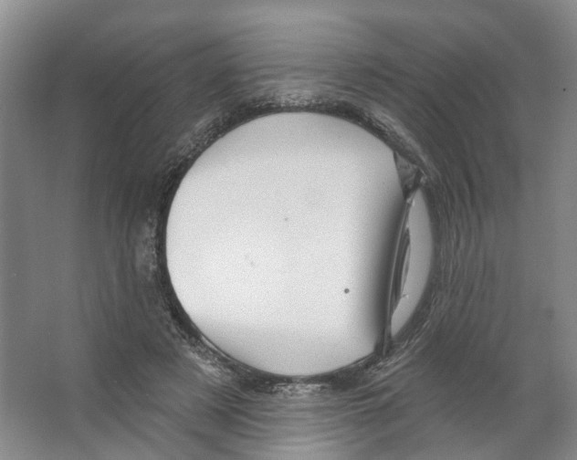 X0000066490497200604141700