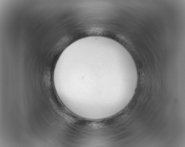 X0000066490498200604141700