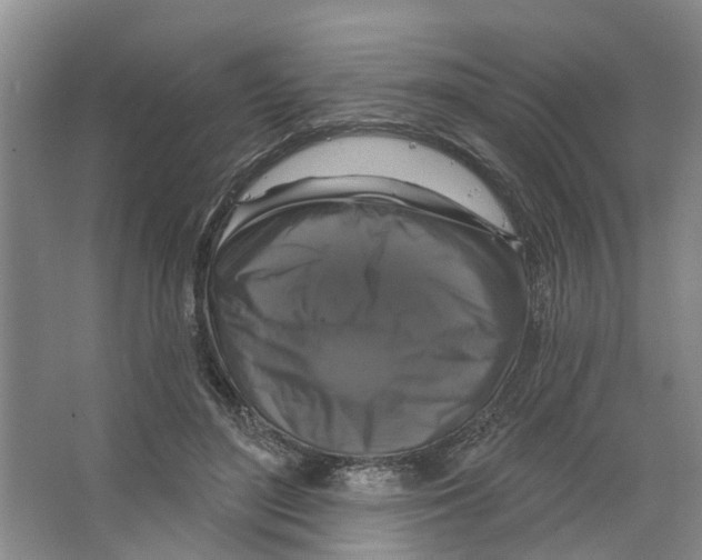 X0000066490500200604141700
