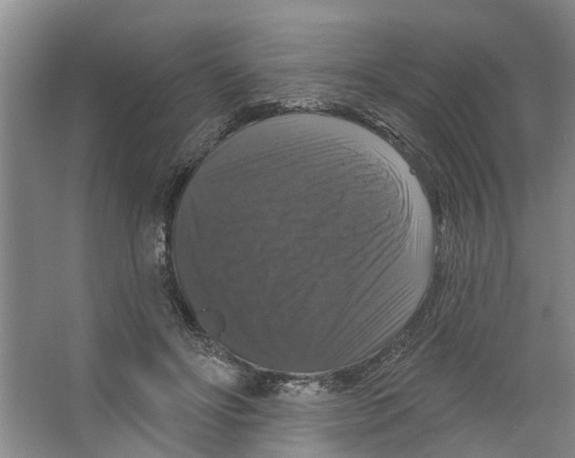 X0000066490502200604141700