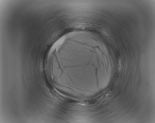 X0000066490504200604141700