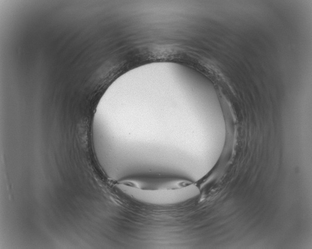 X0000066490505200604141700