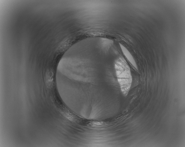 X0000066490507200604141700