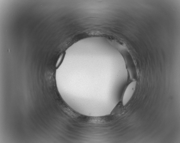 X0000066490521200604141700
