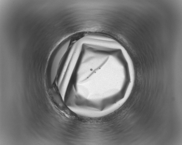 X0000066490532200604141659