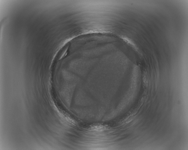 X0000066490540200604141659