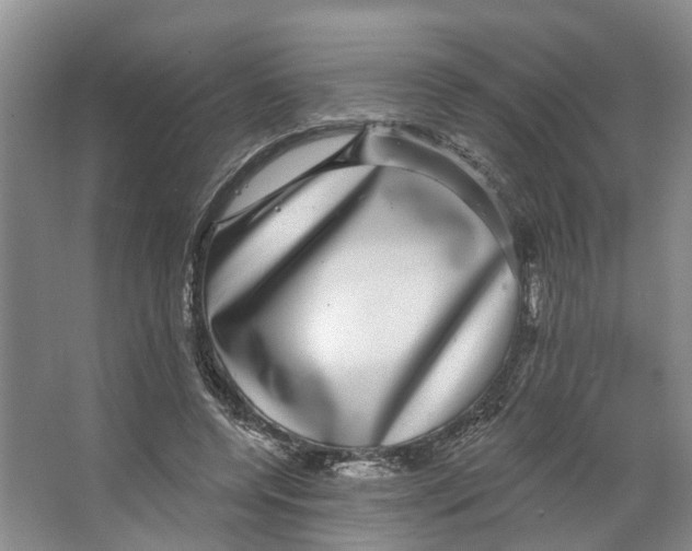 X0000066490544200604141659