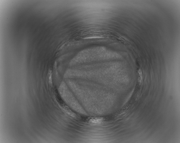 X0000066490560200604141659