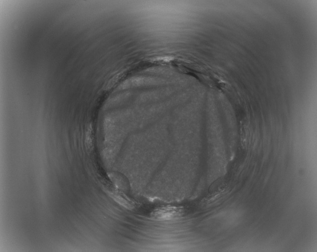 X0000066490563200604141659