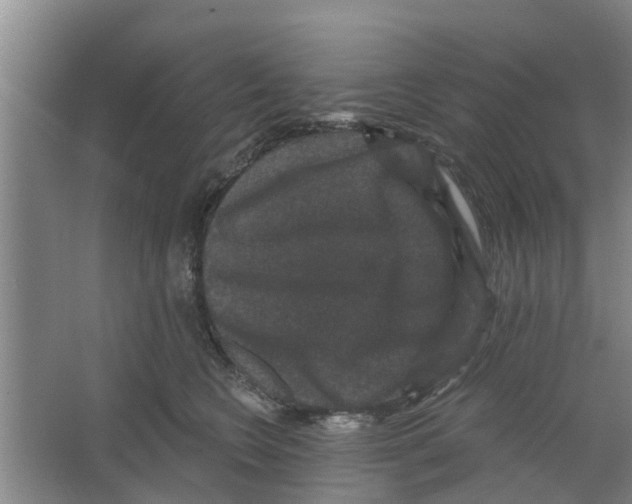 X0000066490566200604141659