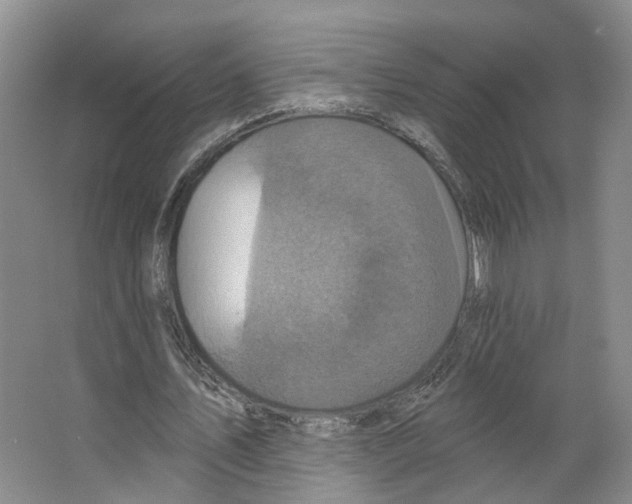 X0000066490579200604141659