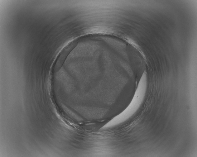 X0000066490580200604141659