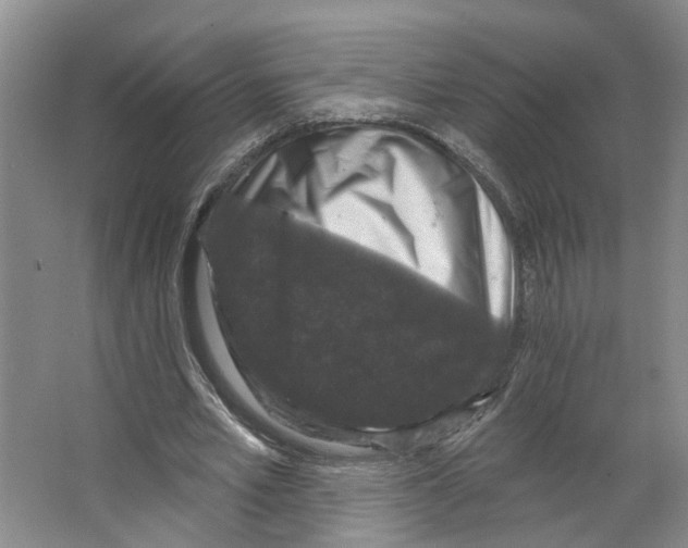X0000066490581200604141659