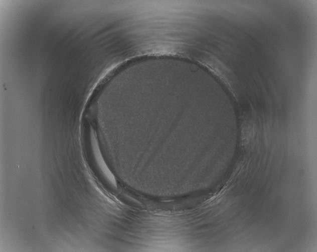 X0000066490584200604141659