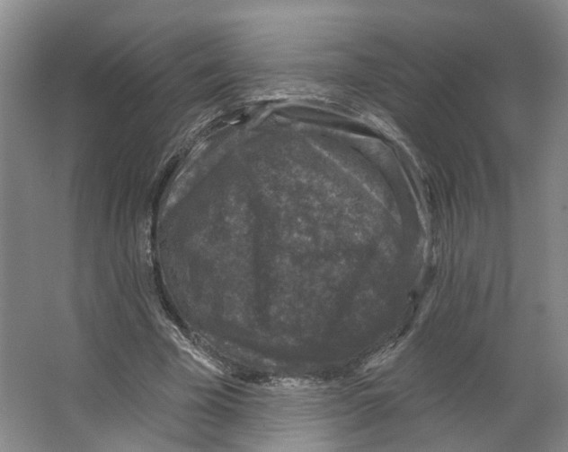 X0000066490585200604141659
