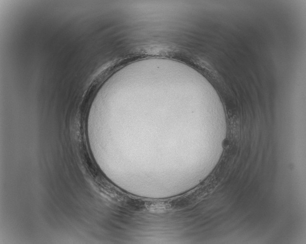 X0000066490587200604141659