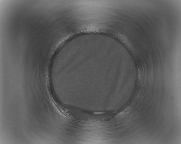 X0000066490588200604141659