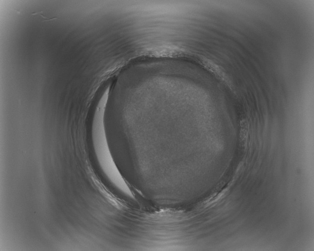 X0000066490589200604141659