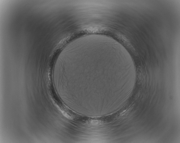 X0000066490590200604141659