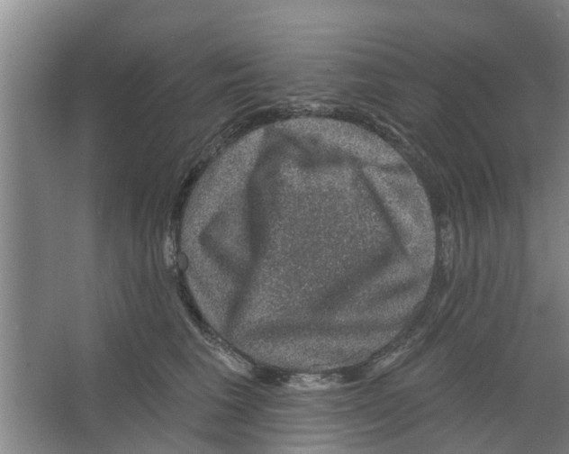 X0000066490613200604141658