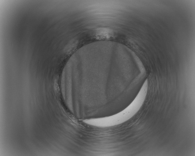 X0000066490616200604141658