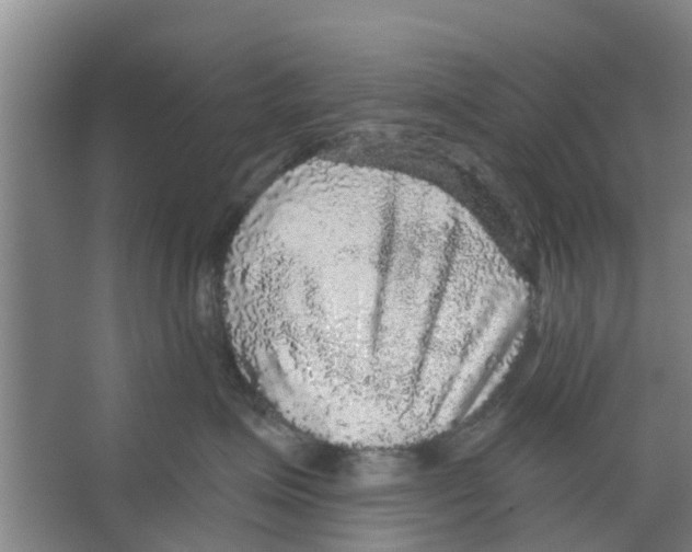 X0000066490623200604141658