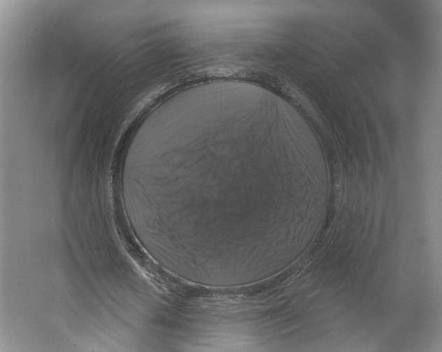 X0000066490626200604141657
