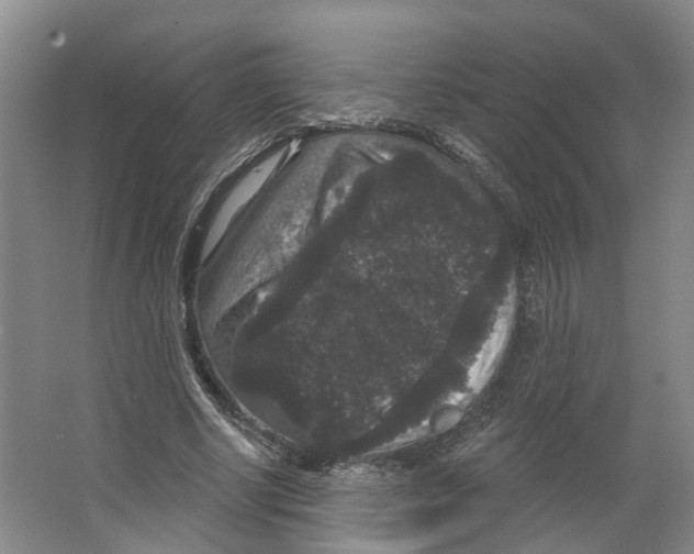 X0000066490634200604141657