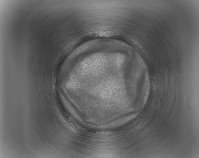 X0000066490639200604141657