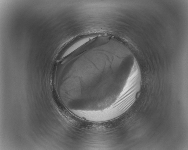 X0000066490640200604141657