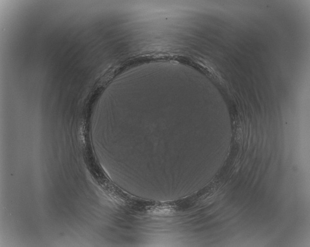 X0000066490643200604141657