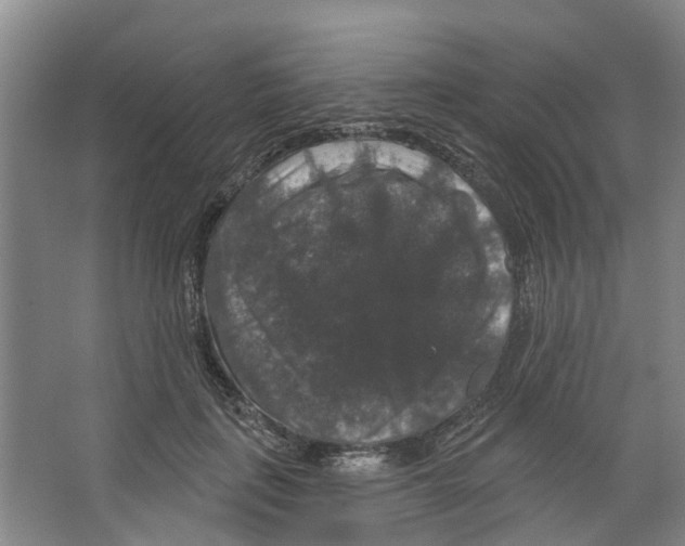 X0000066490651200604141658