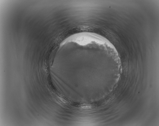 X0000066490653200604141658
