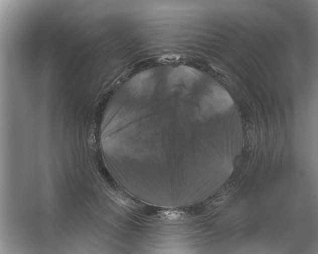 X0000066490654200604141658