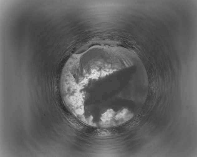 X0000066490658200604141658