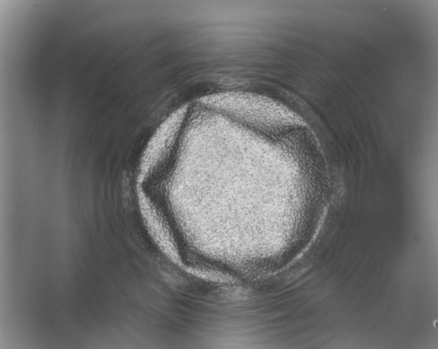 X0000066490667200604141658