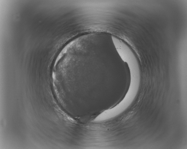 X0000066490673200604141657