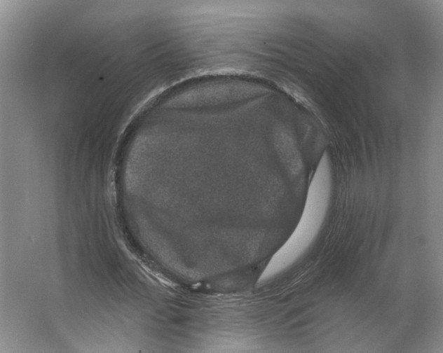 X0000066490676200604141657