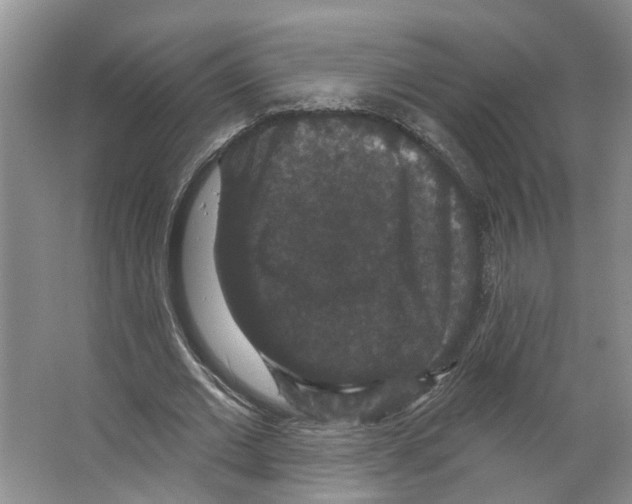 X0000066490677200604141657