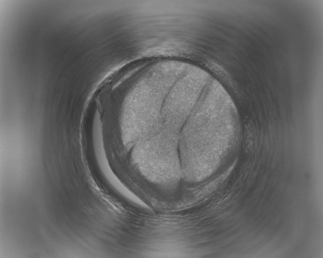 X0000066490680200604141657
