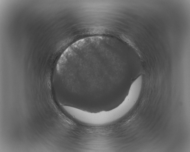 X0000066490681200604141657