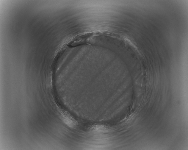 X0000066490685200604141657
