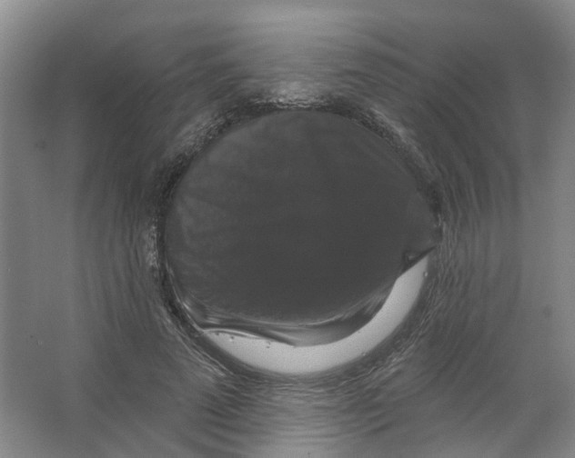 X0000066490689200604141657