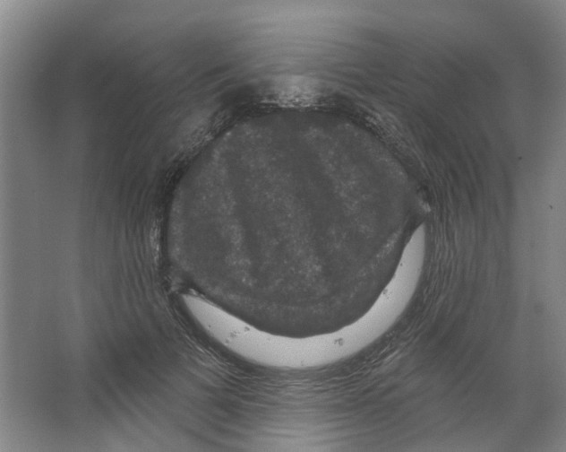 X0000066490697200604141657