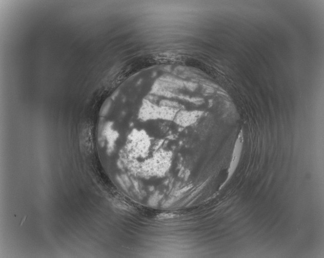 X0000066490699200604141657