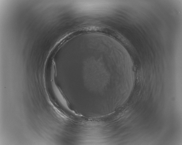 X0000066490722200604141656
