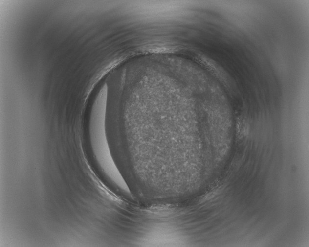 X0000066490725200604141656