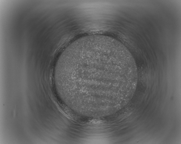 X0000066490742200604141656