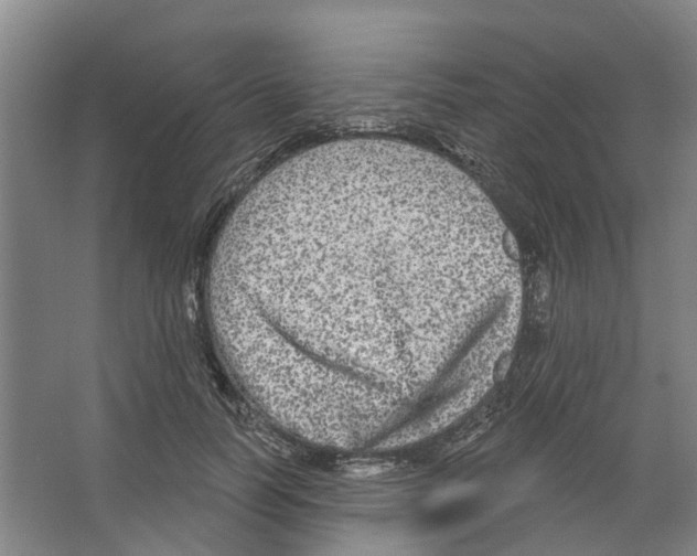 X0000066490746200604141656