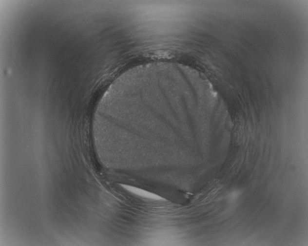 X0000066490747200604141656